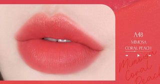 Black Rouge Air Fit Velvet Tint 9 - Kbeauty Canada