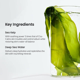 BIODANCE Refreshing Sea Kelp Real Deep Mask 34g (Green) (1ea) - Kbeauty Canada