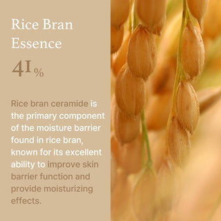 I'M FROM Rice Cream - Kbeauty Canada