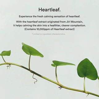 ABIB Collagen Gel Mask Heartleaf Jelly (1ea) - Kbeauty Canada