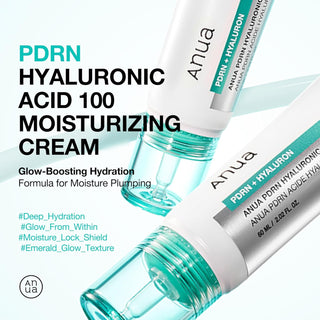 ANUA PDRN Hyaluronic Acid 100 Moisture Cream 60mL - Kbeauty Canada