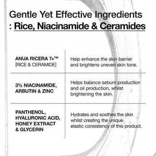 ANUA Rice 7 Ceramide Hydrating Barrier Serum 50mL - Kbeauty Canada