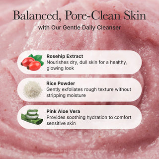ARENCIA Fresh Rosehip Rice Mochi Cleanser 120g