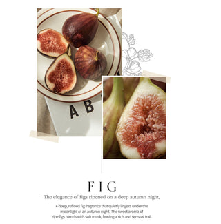 BOM Petit Fig Perfume Body Mist 110ml