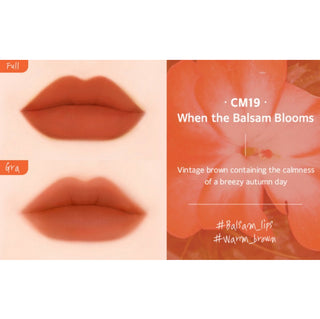 Black Rouge Cream Matt Rouge 3