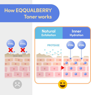 EQQUALBERRY Swimming Pool Toner - Kbeauty Canada