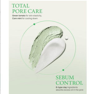 FULLY Green Tomato Clay Pack Cleanser 120mL - Kbeauty Canada