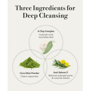 FULLY Green Tomato Clay Pack Cleanser 120mL - Kbeauty Canada