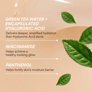 INNISFREE Green Tea Seed Hyaluronic Acid Serum 80mL - Kbeauty Canada