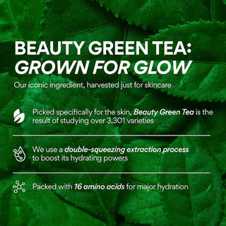 INNISFREE Vita C Green Tea Enzyme Brightening Serum 30mL - Kbeauty Canada