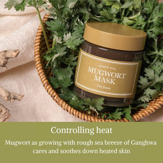 I'm From Mugwort Mask 110ML - Kbeauty Canada
