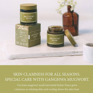I'm From Mugwort Mask 110ML - Kbeauty Canada