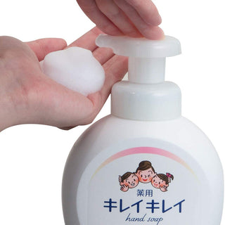 Lion Bubble Hand Wash Unscented 250mL