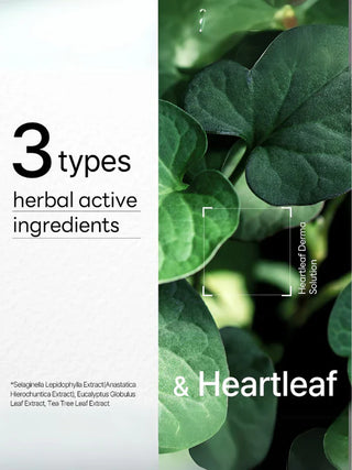 MEDIHEAL Dermaplus Mask 22mL (1ea)