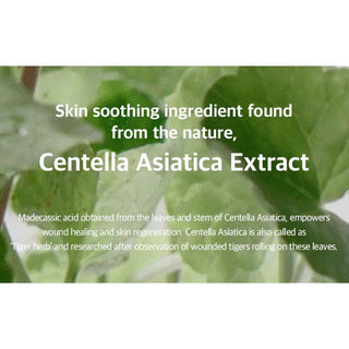 MIXSOON Soondy Centella Asiatica Essence - Kbeauty Canada
