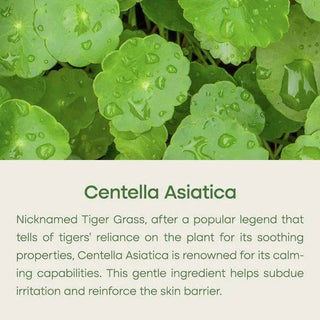 PURITO SEOUL Wonder Releaf Centella Serum Unscented 60mL - Kbeauty Canada