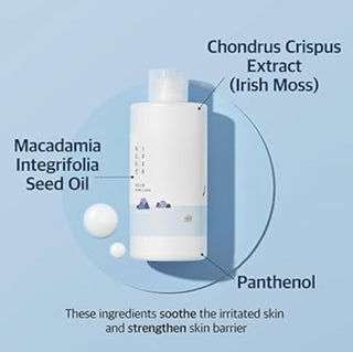 Round Lab 1025 Dokdo Lotion