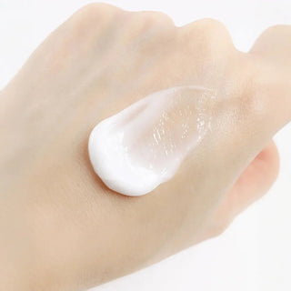 Round Lab (Renewal) 1025 DOKDO CREAM_80ml - Kbeauty Canada