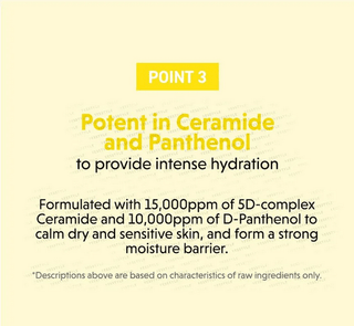TORRIDEN Solid-In All Day Essence 100mL - Kbeauty Canada