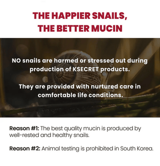 KSECRET Seoul 1988 ESSENCE: Snail Mucin 97% + Rice 100mL - Kbeauty Canada