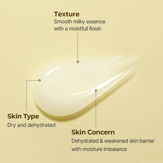 TORRIDEN Solid-In All Day Essence 100mL - Kbeauty Canada