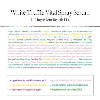 D'ALBA White Truffle Vital Spray Serum 100mL - Kbeauty Canada