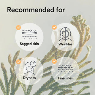 Abib Collagen Gel Mask with Jericho Rose Jelly, face sheet mask for hydrating and nourishing skin, displayed on a white background