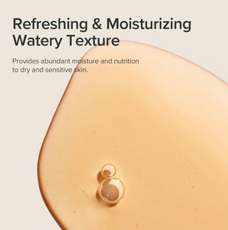 Beauty of Joseon Ginseng Essence Water toner, featuring Korean ginseng for hydration and radiant skin, in a clear bottle.
