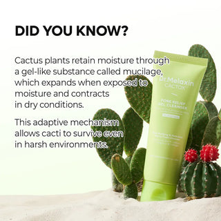 Dr. Melaxin CACTOX Pore Relief Gel Cleanser 120ml showing the gel cleanser tube with product label and packaging.