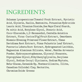 FULLY Green Tomato Clay Mask Cleanser 120mL, a facial cleanser with natural green tomato clay visible in the tube.
