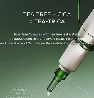 SKIN1004 Madagascar Centella Tea-Trica Spot Cream jar with label, designed for targeted skin treatment and soothing skin concerns.