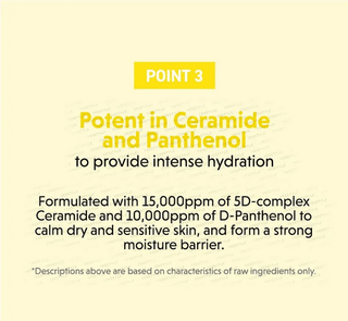 Torriden Solid-In All Day Essence bottle, 100mL, with clear label and pump dispenser, on a white background