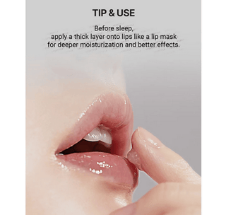 Torriden Solid-In Ceramide Lip Essence in 11mL bottle, moisturizing lip treatment with ceramide for smooth, hydrated lips
