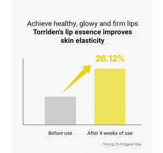 Torriden Solid-In Ceramide Lip Essence in 11mL tube, smooth lip care product with hydrating ceramide formula.