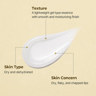 Torriden Solid-In Ceramide Lip Essence 11mL, clear jar showing nourishing lip treatment with ceramide for hydration.